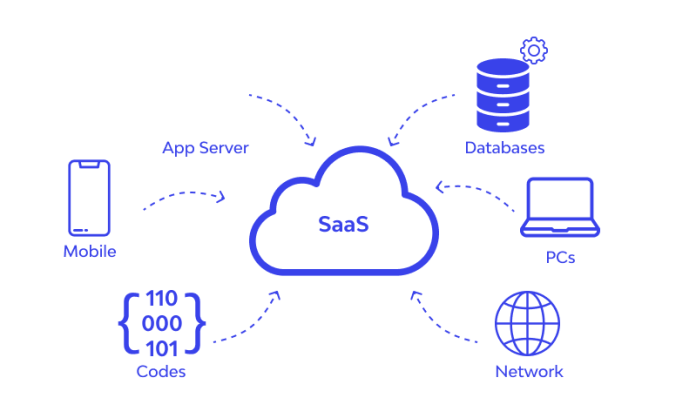 Software as a Service (SaaS)
